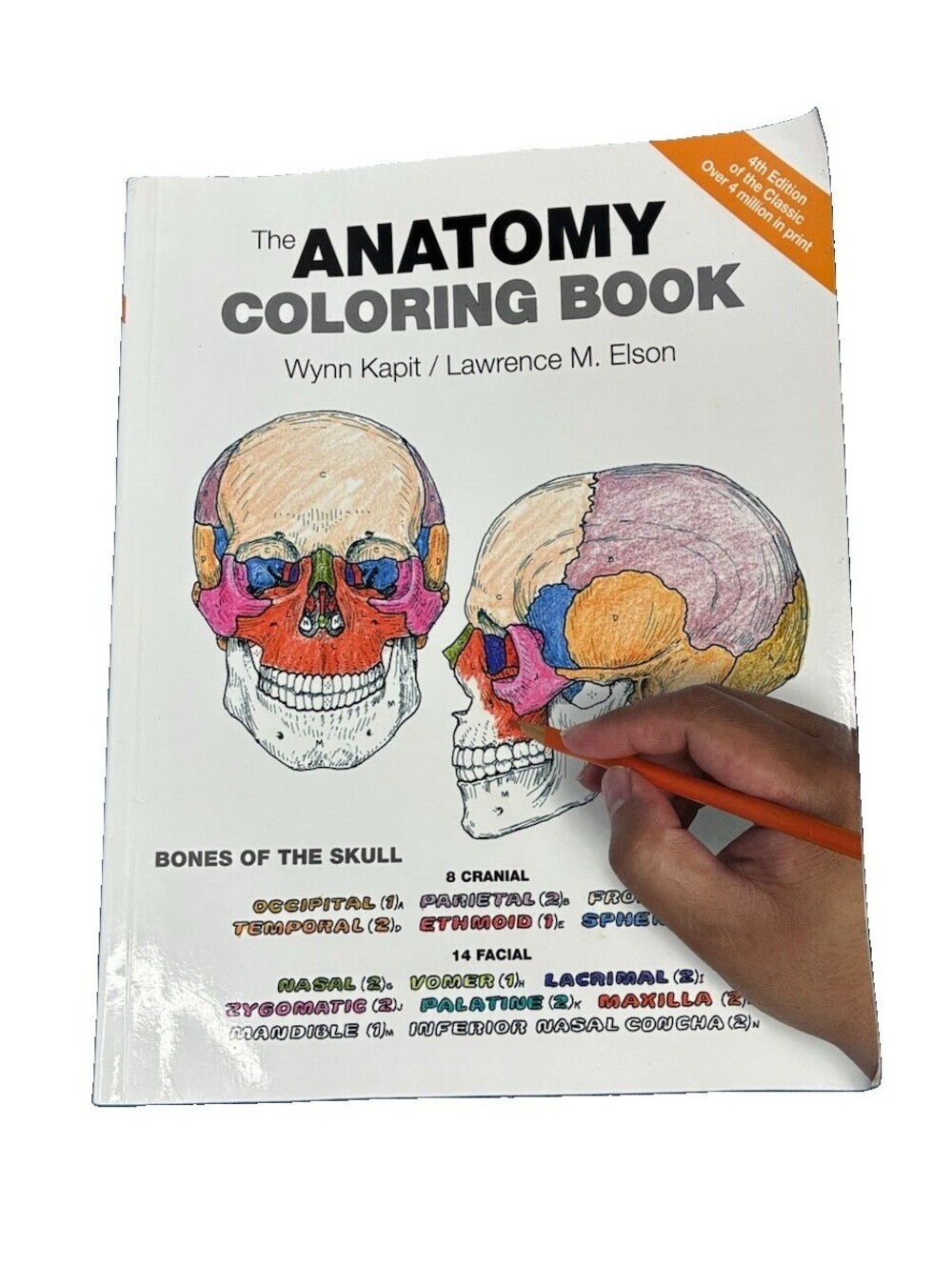 Anatomy Coloring Book by Wynn Kapit and Lawrence Elson